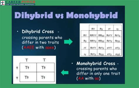 difference between monohybrid and dihybrid.